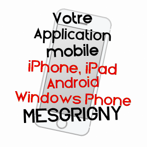 application mobile à MESGRIGNY / AUBE