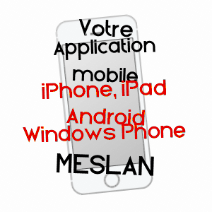 application mobile à MESLAN / MORBIHAN