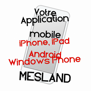 application mobile à MESLAND / LOIR-ET-CHER