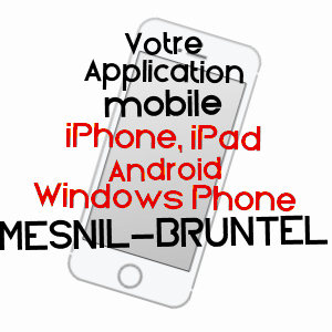 application mobile à MESNIL-BRUNTEL / SOMME