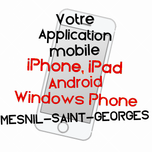 application mobile à MESNIL-SAINT-GEORGES / SOMME