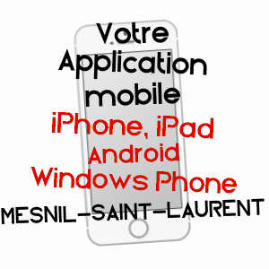 application mobile à MESNIL-SAINT-LAURENT / AISNE