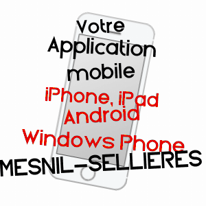 application mobile à MESNIL-SELLIèRES / AUBE