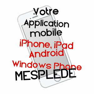 application mobile à MESPLèDE / PYRéNéES-ATLANTIQUES