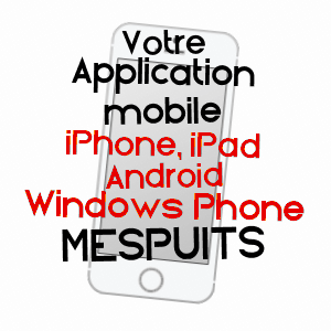application mobile à MESPUITS / ESSONNE