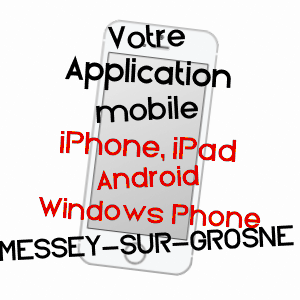 application mobile à MESSEY-SUR-GROSNE / SAôNE-ET-LOIRE