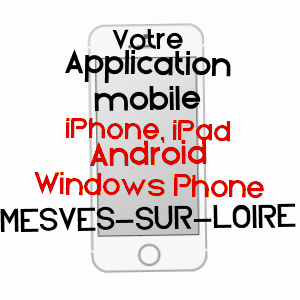 application mobile à MESVES-SUR-LOIRE / NIèVRE