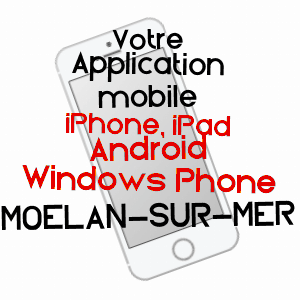 application mobile à MOëLAN-SUR-MER / FINISTèRE