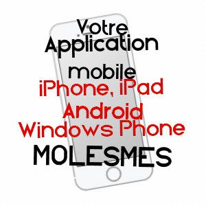 application mobile à MOLESMES / YONNE