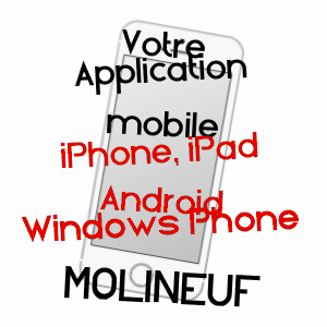 application mobile à MOLINEUF / LOIR-ET-CHER