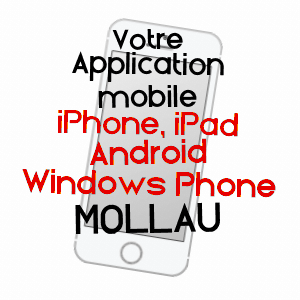 application mobile à MOLLAU / HAUT-RHIN