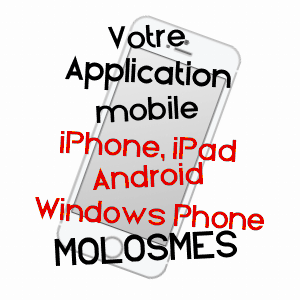 application mobile à MOLOSMES / YONNE