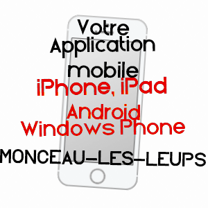application mobile à MONCEAU-LèS-LEUPS / AISNE