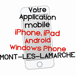 application mobile à MONT-LèS-LAMARCHE / VOSGES