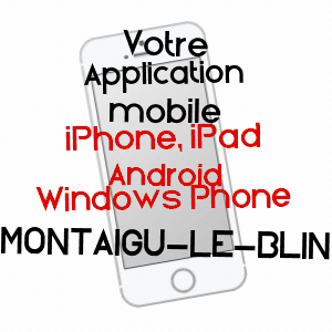 application mobile à MONTAIGU-LE-BLIN / ALLIER