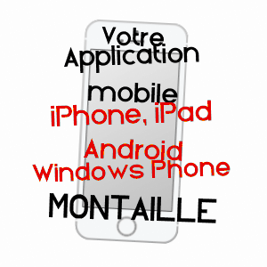 application mobile à MONTAILLé / SARTHE