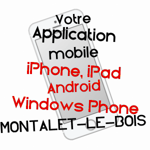 application mobile à MONTALET-LE-BOIS / YVELINES