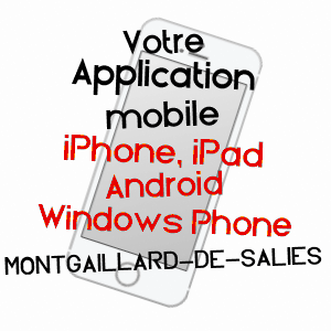 application mobile à MONTGAILLARD-DE-SALIES / HAUTE-GARONNE