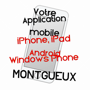 application mobile à MONTGUEUX / AUBE