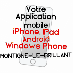 application mobile à MONTIGNé-LE-BRILLANT / MAYENNE