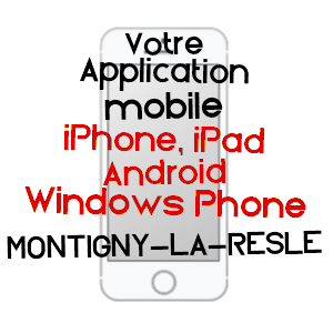 application mobile à MONTIGNY-LA-RESLE / YONNE