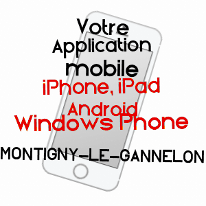 application mobile à MONTIGNY-LE-GANNELON / EURE-ET-LOIR