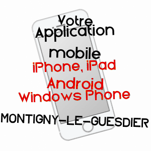 application mobile à MONTIGNY-LE-GUESDIER / SEINE-ET-MARNE