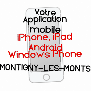 application mobile à MONTIGNY-LES-MONTS / AUBE