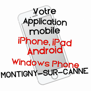 application mobile à MONTIGNY-SUR-CANNE / NIèVRE