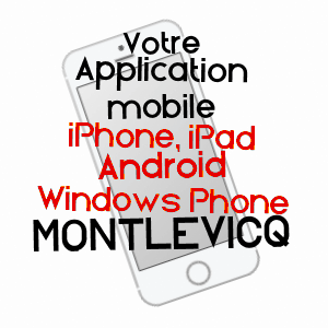 application mobile à MONTLEVICQ / INDRE