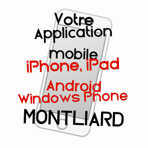 application mobile à MONTLIARD / LOIRET