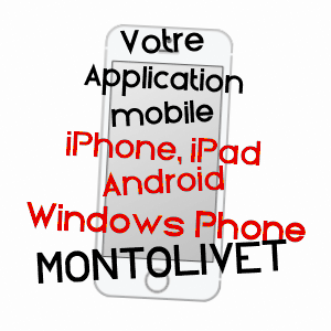 application mobile à MONTOLIVET / SEINE-ET-MARNE