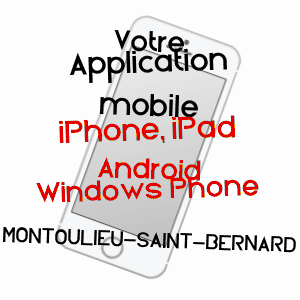 application mobile à MONTOULIEU-SAINT-BERNARD / HAUTE-GARONNE