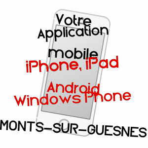 application mobile à MONTS-SUR-GUESNES / VIENNE