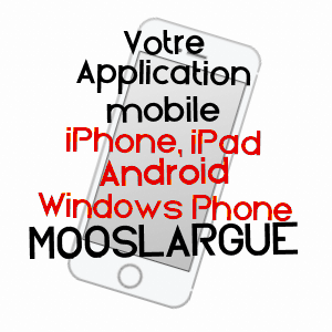 application mobile à MOOSLARGUE / HAUT-RHIN