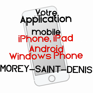 application mobile à MOREY-SAINT-DENIS / CôTE-D'OR