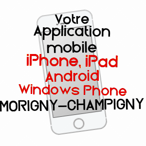 application mobile à MORIGNY-CHAMPIGNY / ESSONNE