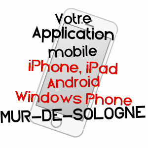 application mobile à MUR-DE-SOLOGNE / LOIR-ET-CHER