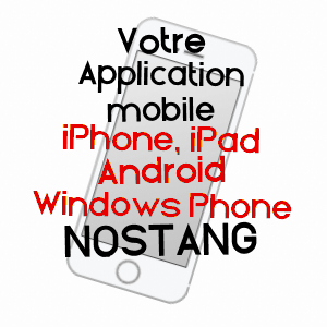application mobile à NOSTANG / MORBIHAN