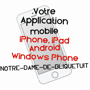 application mobile à NOTRE-DAME-DE-BLIQUETUIT / SEINE-MARITIME