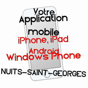application mobile à NUITS-SAINT-GEORGES / CôTE-D'OR