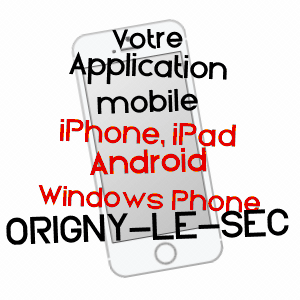 application mobile à ORIGNY-LE-SEC / AUBE