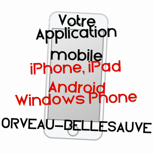 application mobile à ORVEAU-BELLESAUVE / LOIRET