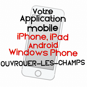application mobile à OUVROUER-LES-CHAMPS / LOIRET