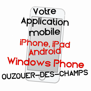 application mobile à OUZOUER-DES-CHAMPS / LOIRET