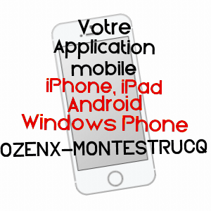 application mobile à OZENX-MONTESTRUCQ / PYRéNéES-ATLANTIQUES