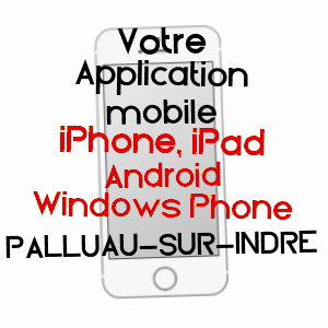 application mobile à PALLUAU-SUR-INDRE / INDRE