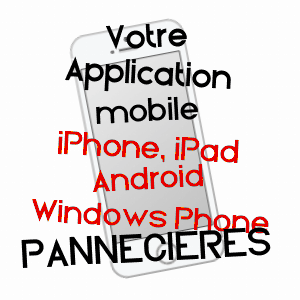 application mobile à PANNECIèRES / LOIRET