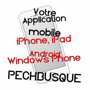 application mobile à PECHBUSQUE / HAUTE-GARONNE