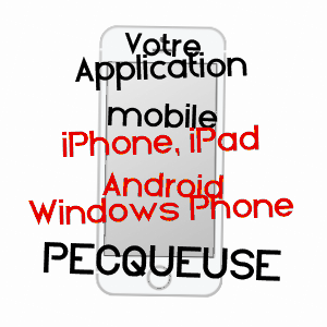 application mobile à PECQUEUSE / ESSONNE